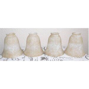 Homenhancements Glass Shades Tea Stained Set of 4